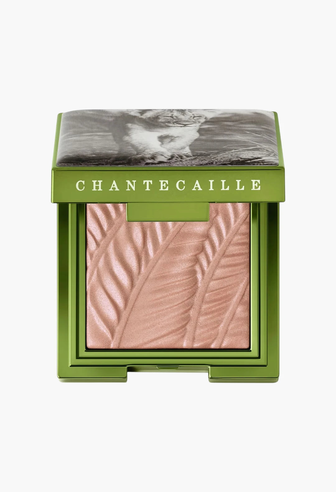 Matte Eye Shade - Narika (Limited Edition)