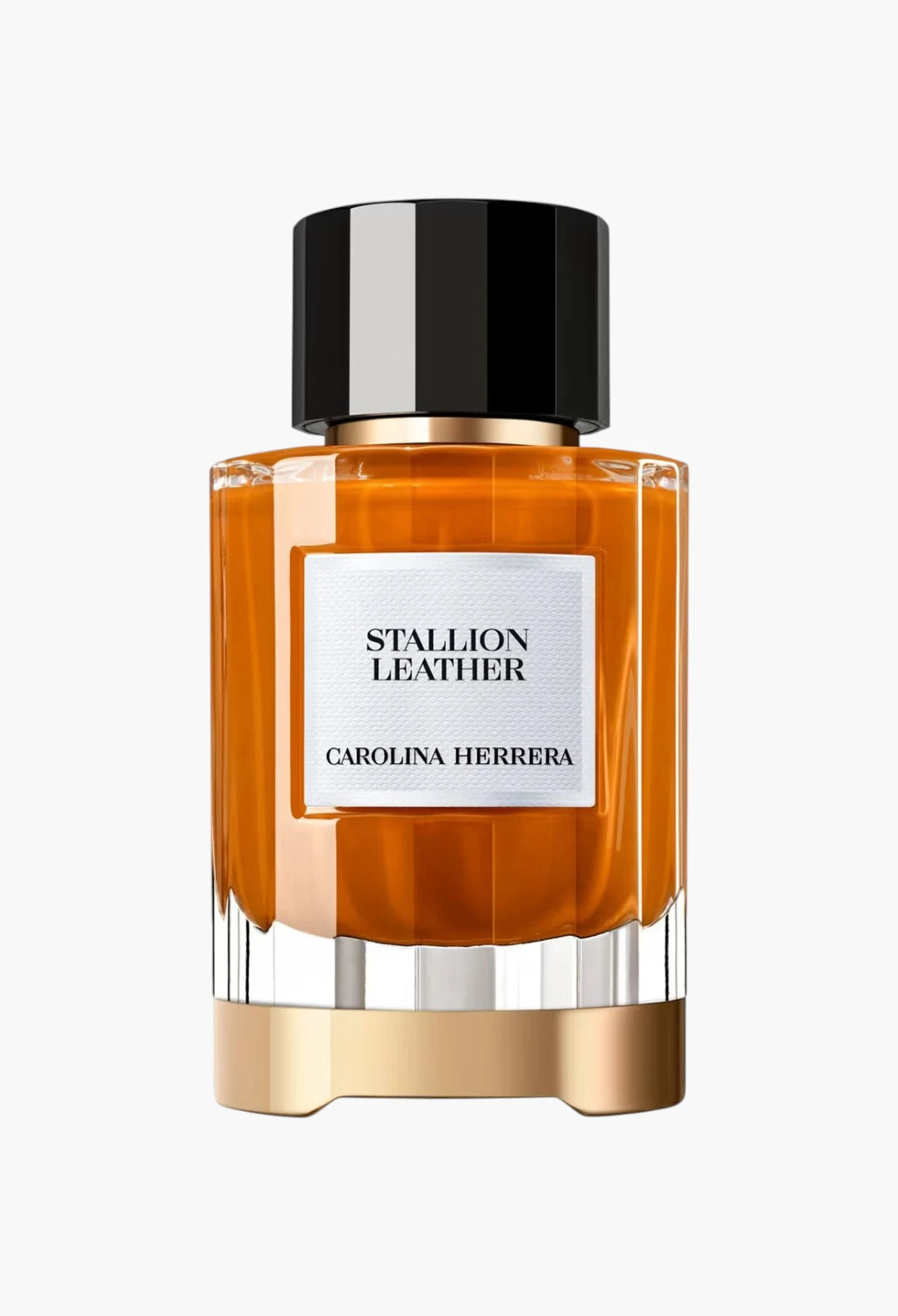 Stallion Leather - Eau de Parfum
