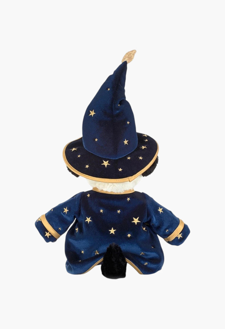 Rufferty Puppy Wizard