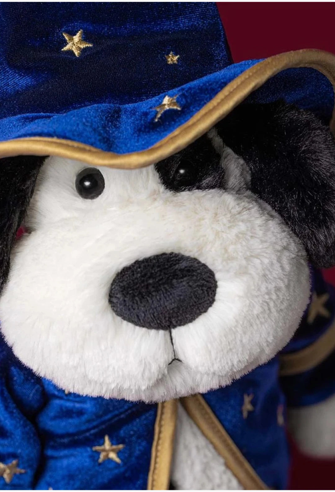 Rufferty Puppy Wizard