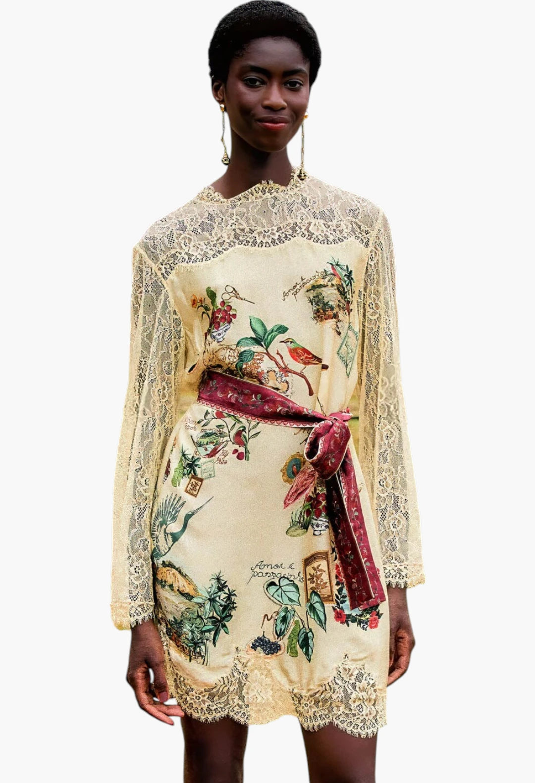 bird poetry lace long sleeve mini dress