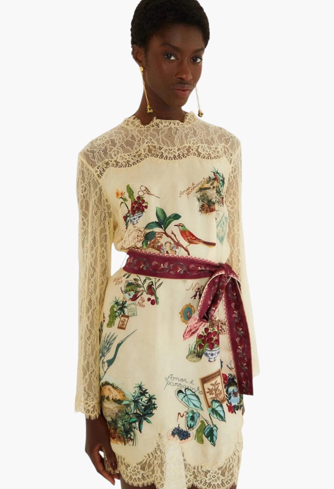 bird poetry lace long sleeve mini dress