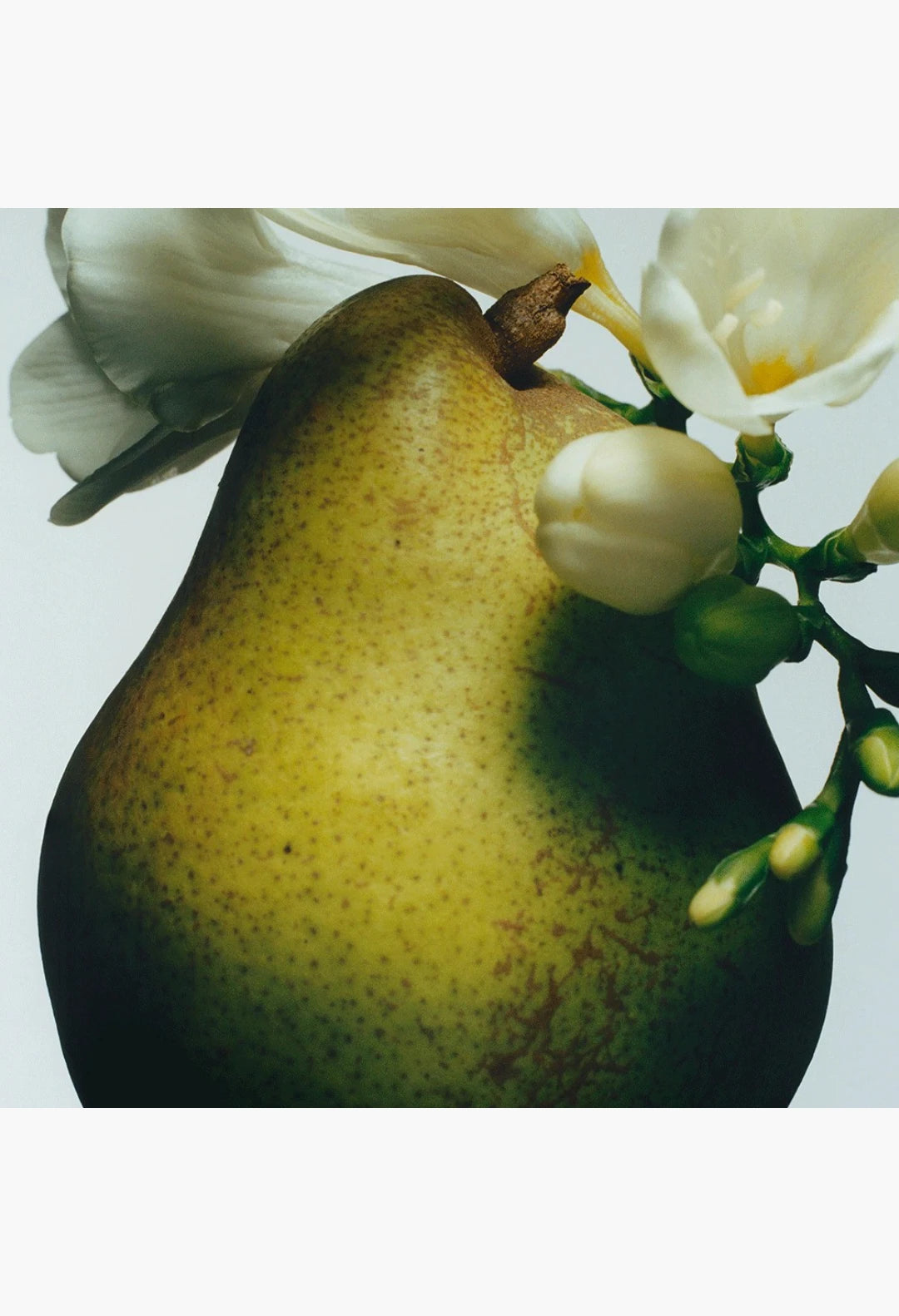 English Pear & Freesia Reed Diffuser