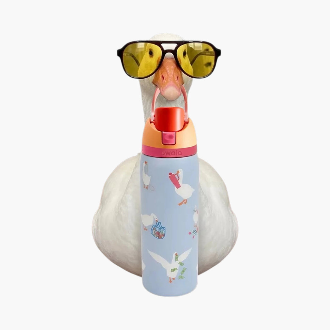 Owala UO Exclusive Silly Goose FreeSip® 0.9L / 32oz
