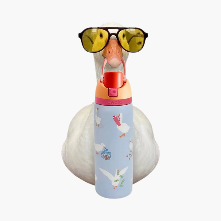 Owala UO Exclusive Silly Goose FreeSip® 0.9L / 32oz