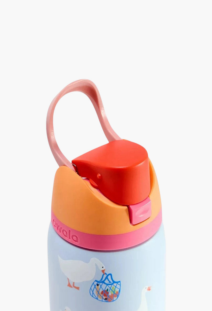 GLAM MODA Owala Silly Goose stainless steel water bottle with orange and pink flip-lid and built-in straw