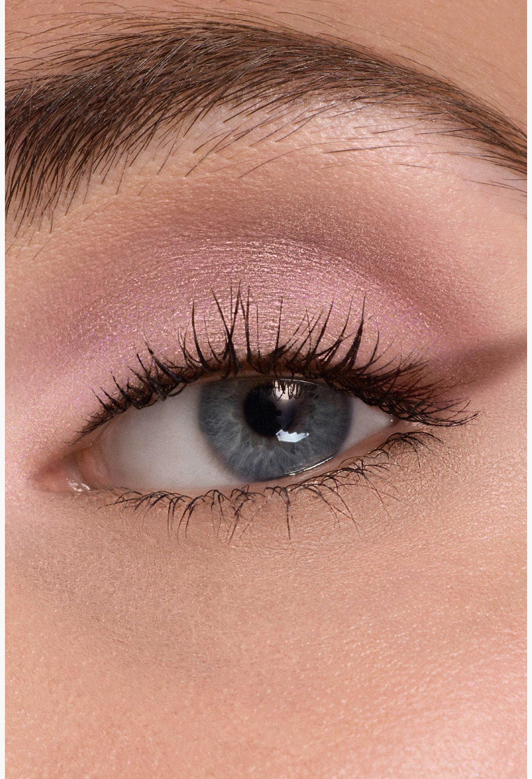 Diorshow 5 Couleurs – Limited Edition