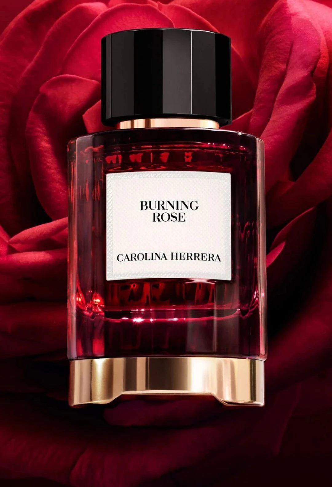 Burning Rose - Eau de Parfum
