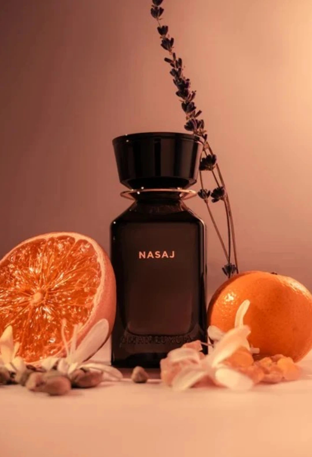 NASAJ