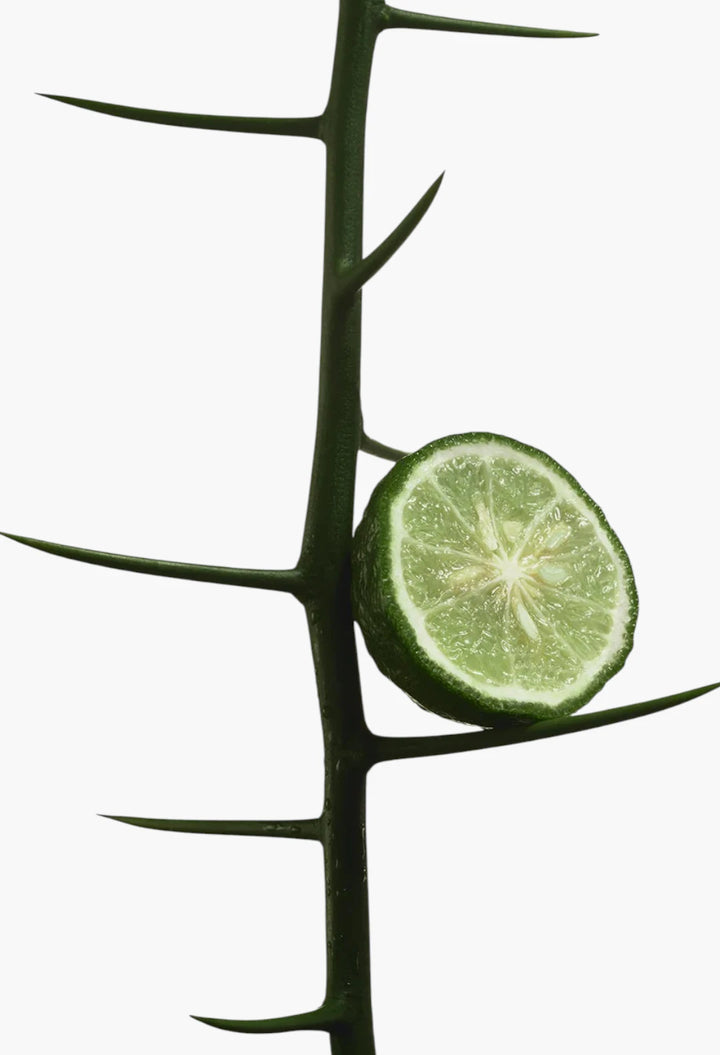 Nutrient-Rich Body Cream with Niacinamide