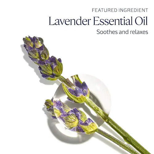 Nourishing and Protective Shea Butter Hand Cream - GLAM MODA