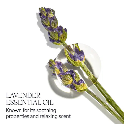 Nourishing and Protective Shea Butter Hand Cream - GLAM MODA