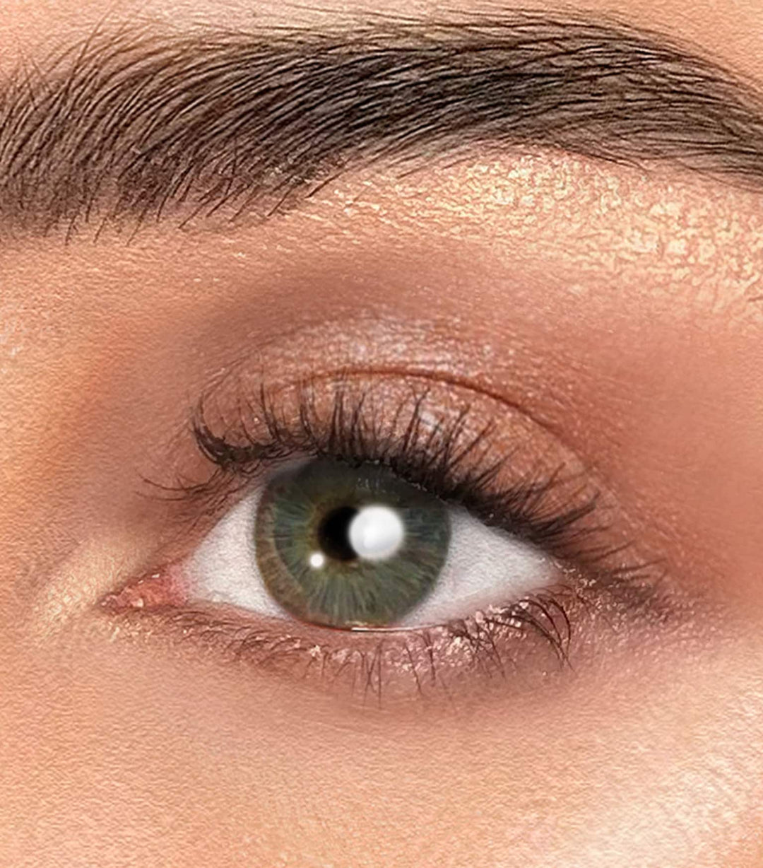 Nude Eyeshadow Palette - GLAM MODA