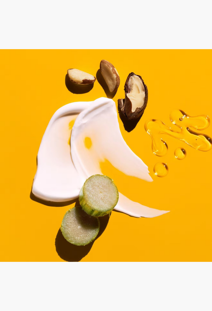 GLAM MODA Body & Sol ingredients including creamy lotion swirls, Brazil nuts, sugarcane slices, and golden oil drops.