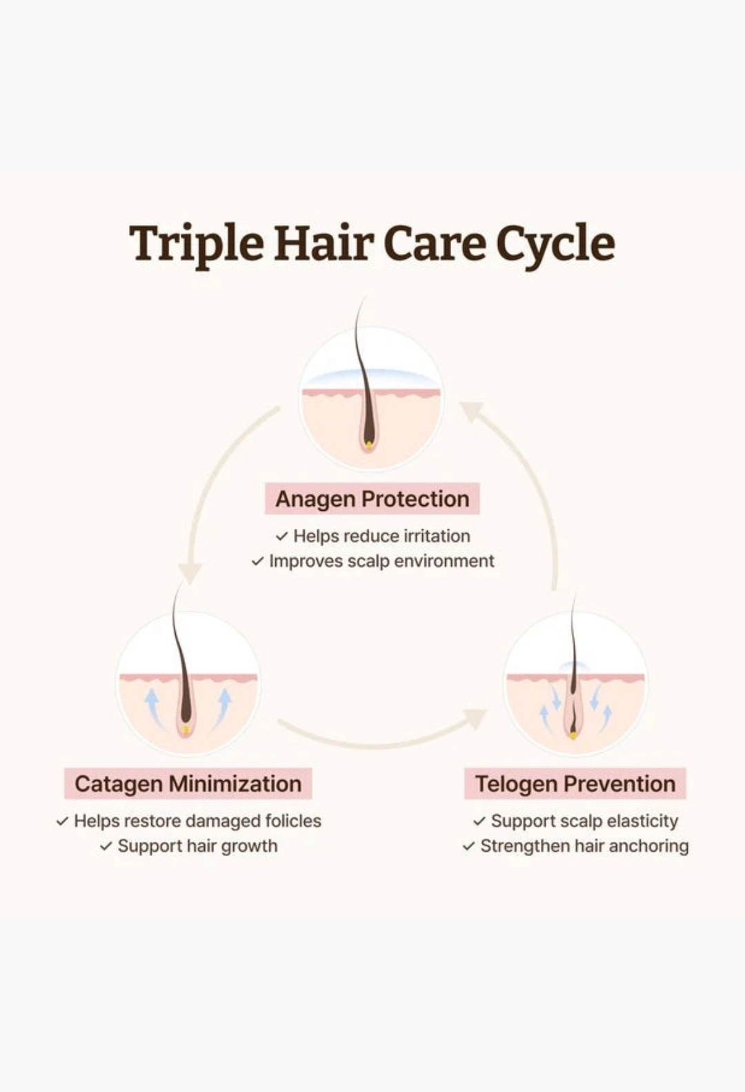 GLAM MODA hair serum infographic showing the triple hair care cycle for scalp health and density support