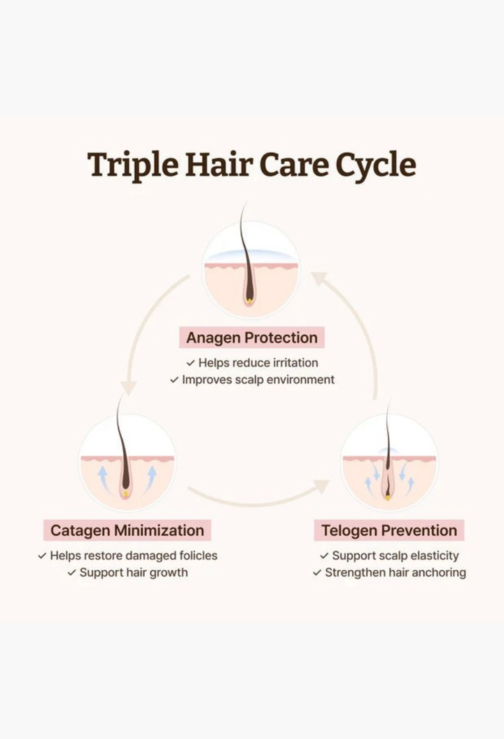 GLAM MODA hair serum infographic showing the triple hair care cycle for scalp health and density support