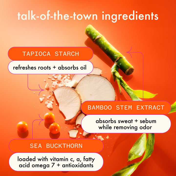 Perk Up Ultra Oil Control Dry Shampoo - GLAM MODA