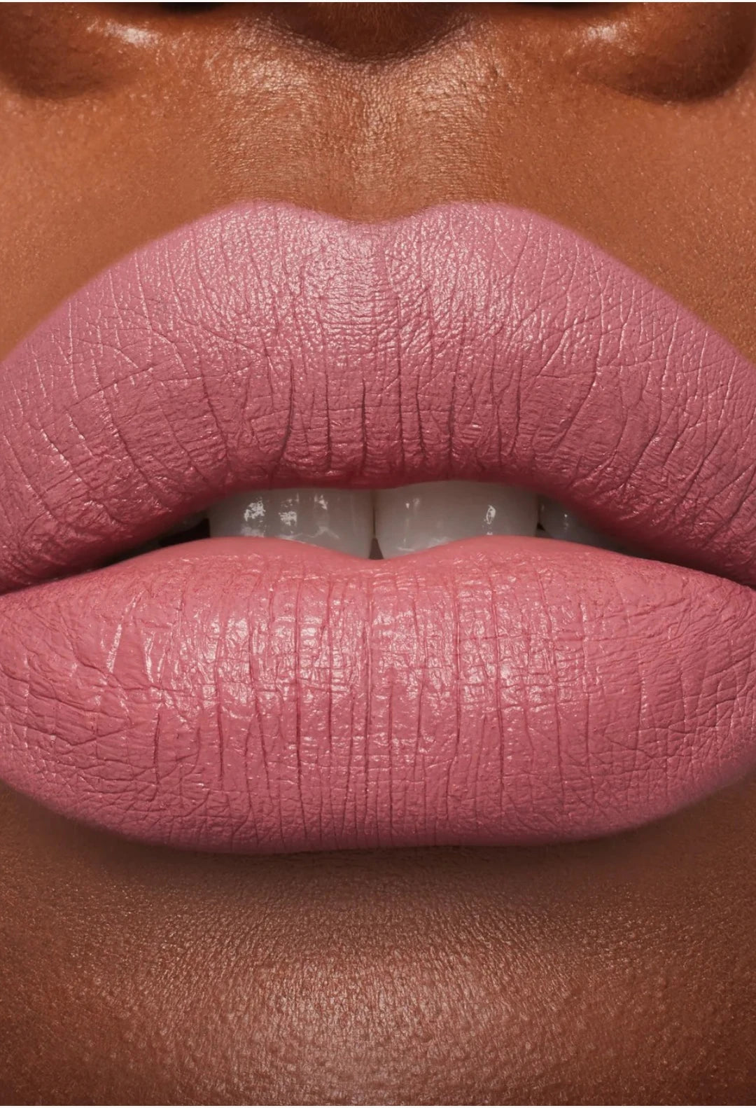 M·A·Cximal Silky Matte Lipstick / Sepia Collection