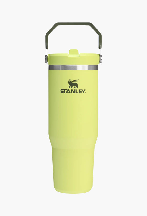 Prickly Pear - The IceFlow™ Flip Straw Tumbler | 30 OZ