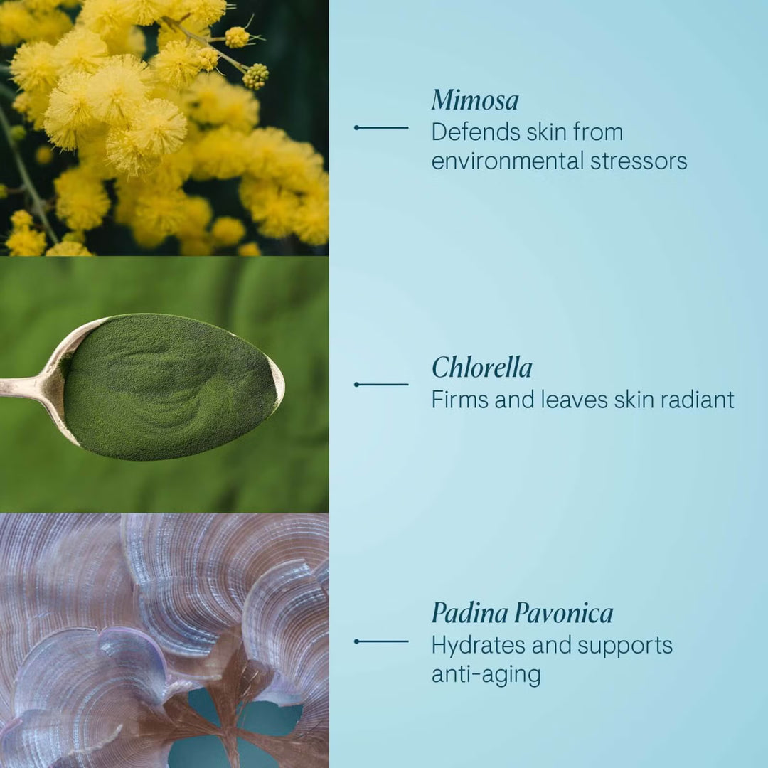 Pro Collagen Marine Cream 50ml - GLAM MODA