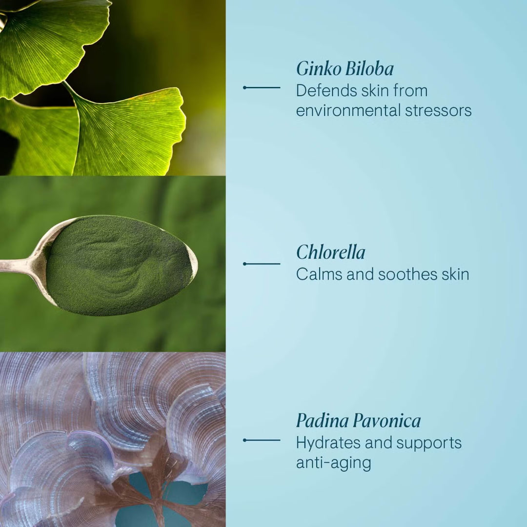 Pro-Collagen Marine Cream SPF 30 - GLAM MODA