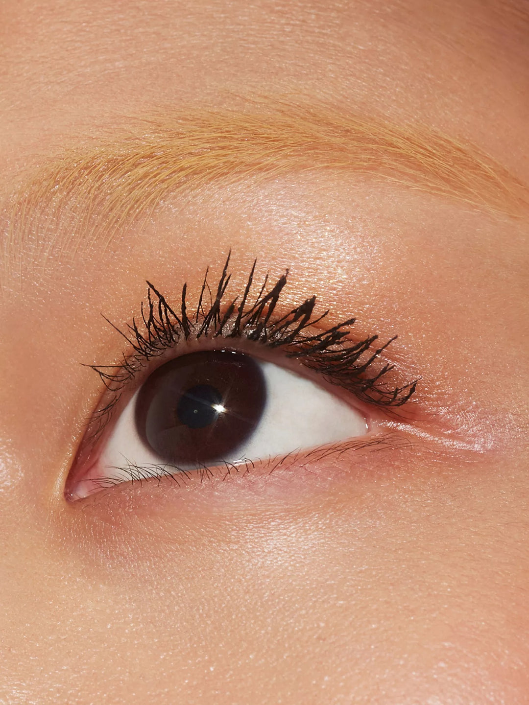 Lash Lasso Lash Wrap Mascara 8.1ml - GLAM MODA
