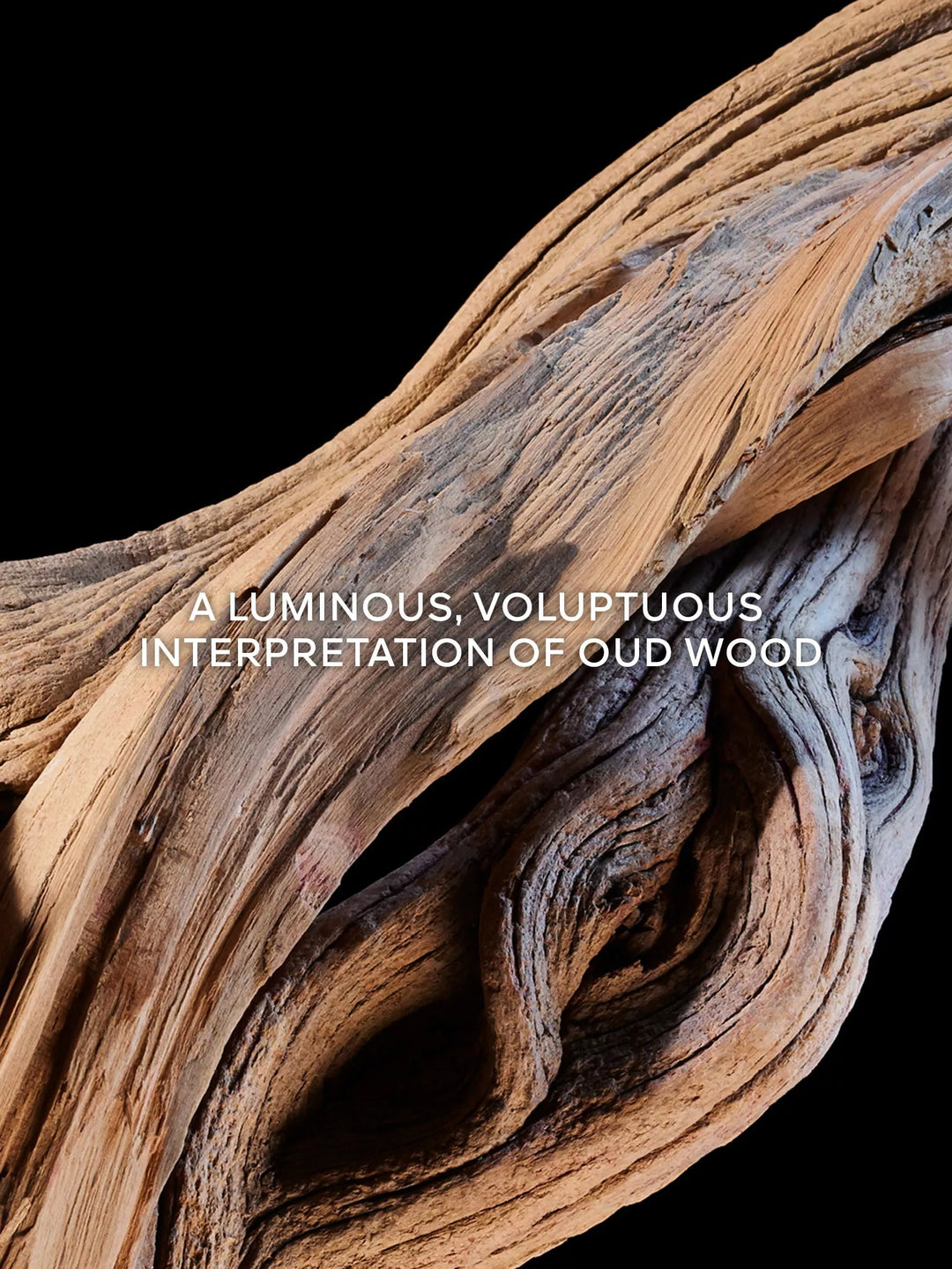 L'Art & La Matière Oud Nude Eau De Parfum - GLAM MODA