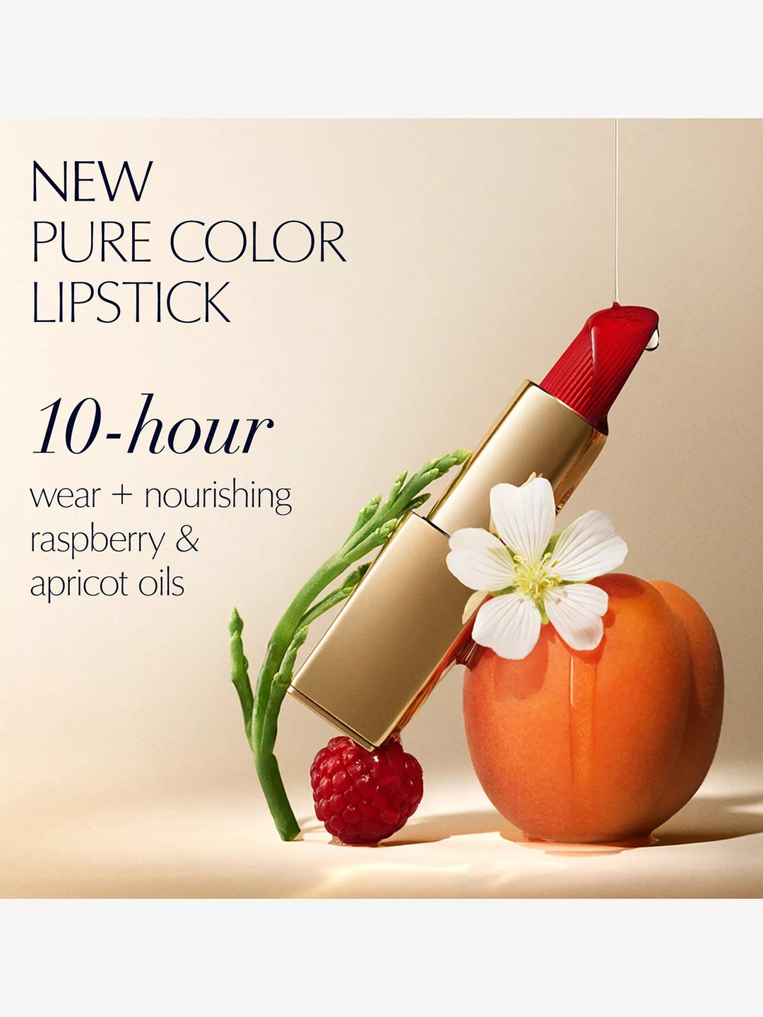Pure Color Matte Lipstick 3.5g - GLAM MODA