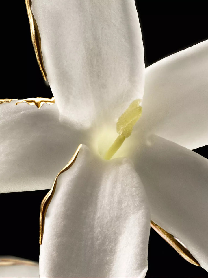 L'Art & La Matière Jasmin Grandiflorum Extrait 30 Parfum Extract - GLAM MODA