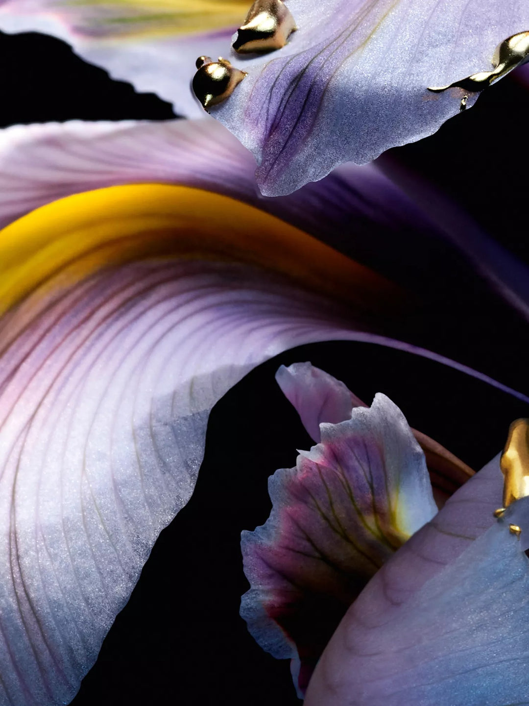 L'Art & La Matière Iris Pallida Extrait 6 Parfum Extract - GLAM MODA