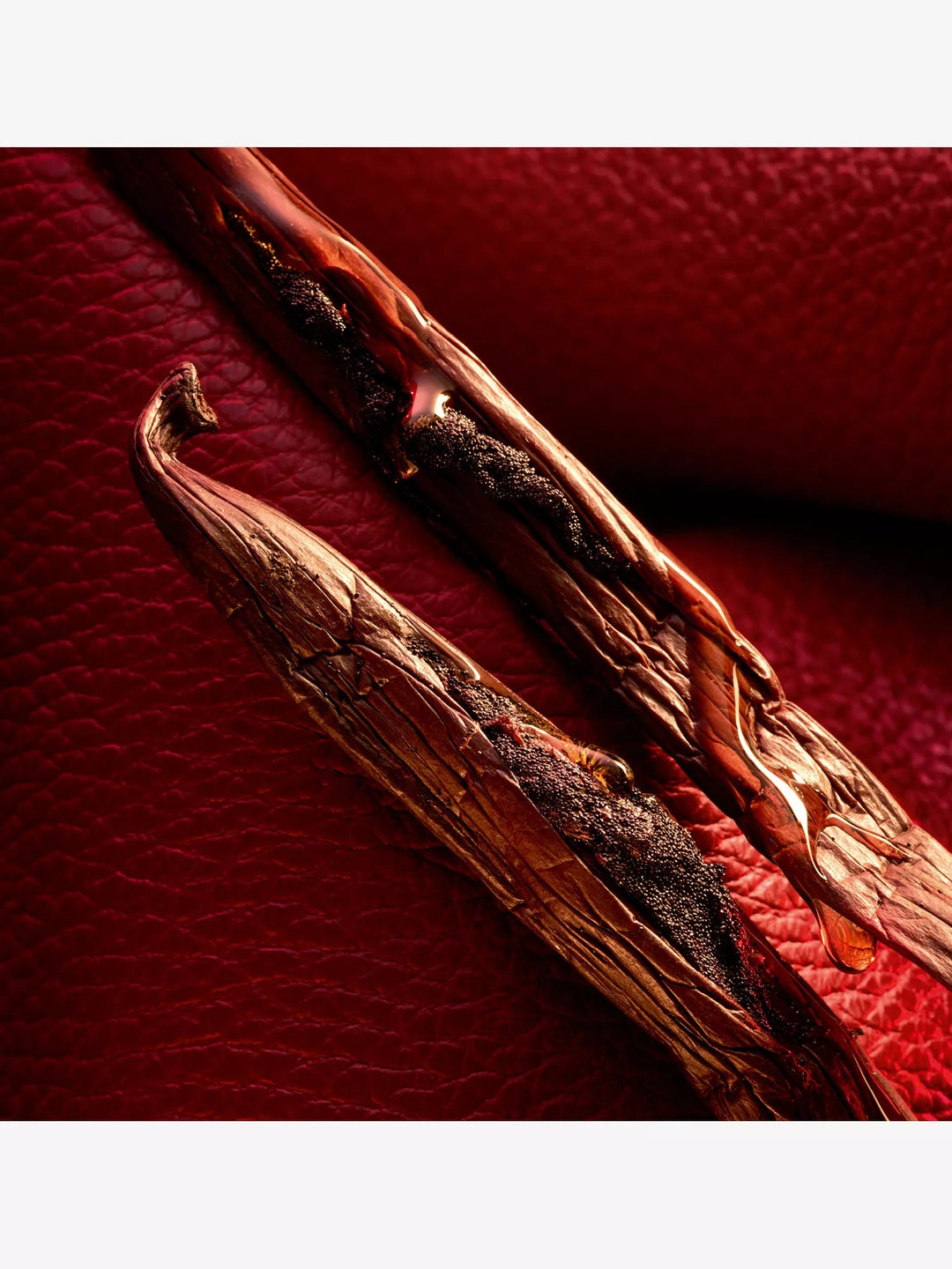 Habit Rouge Le Parfum - GLAM MODA