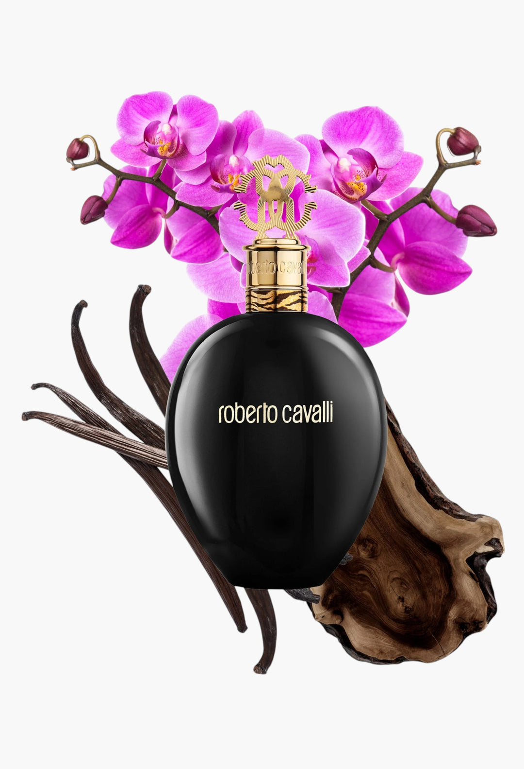 Roberto Cavalli Nero Assoluto Eau De Parfum - GLAM MODA