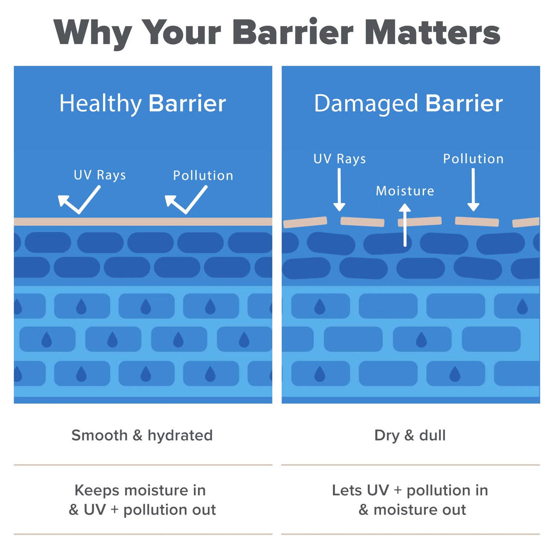 Resist Barrier Repair Advanced Moisturiser 50ml - GLAM MODA