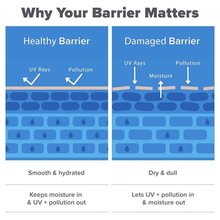 Resist Barrier Repair Advanced Moisturiser 50ml - GLAM MODA