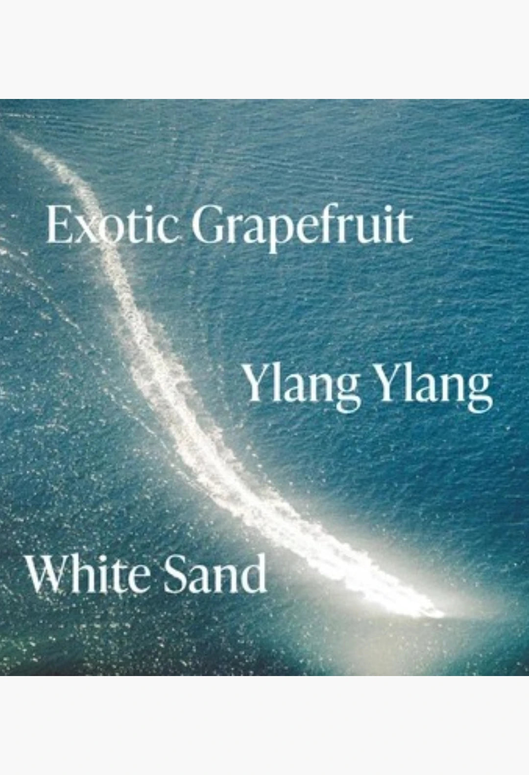 Driftwood Trio