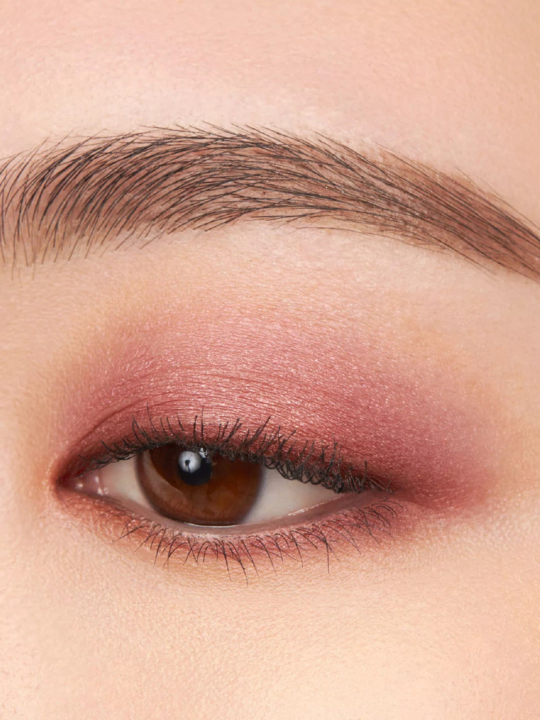 Signature Colour Eyes Eyeshadow Palette 6.2g - GLAM MODA