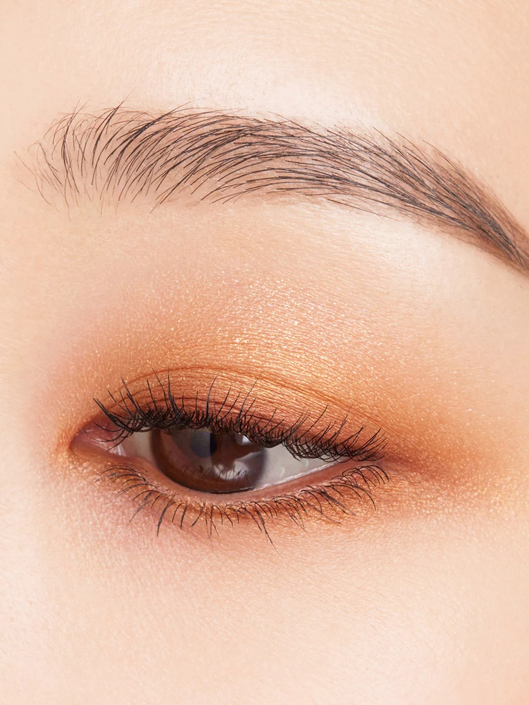 Signature Colour Eyes Eyeshadow Palette 6.2g - GLAM MODA