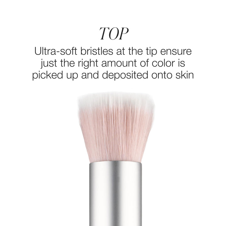 Skin2Skin Blush Brush - GLAM MODA