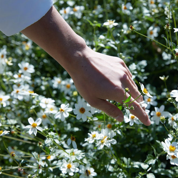 Springtime In the Park - Eau De Toilette - GLAM MODA