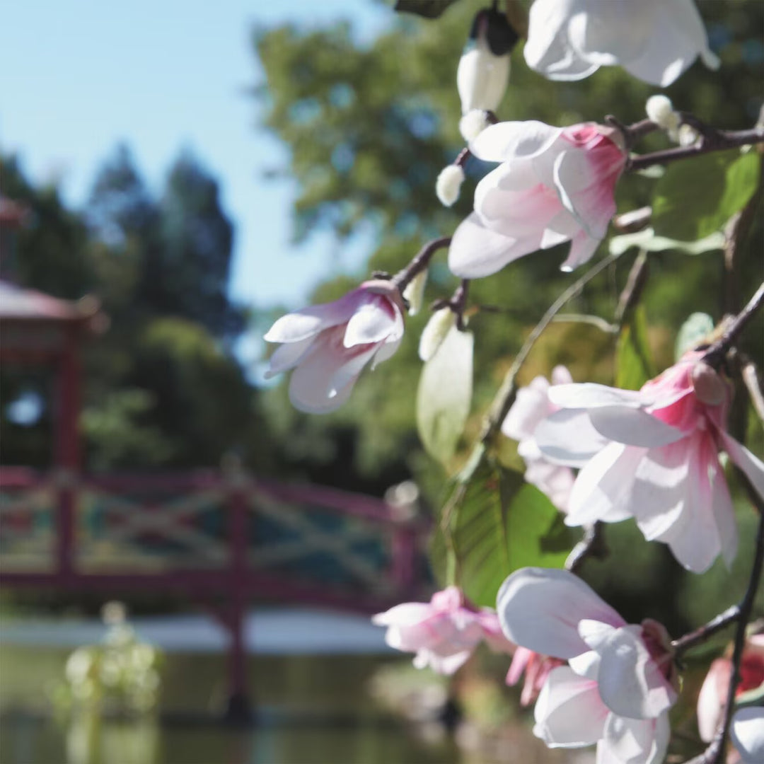 Springtime In the Park - Eau De Toilette - GLAM MODA