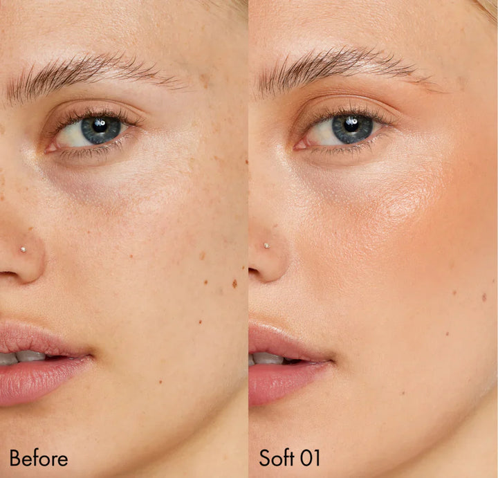 Sun Flush All-Over Face Tint - GLAM MODA