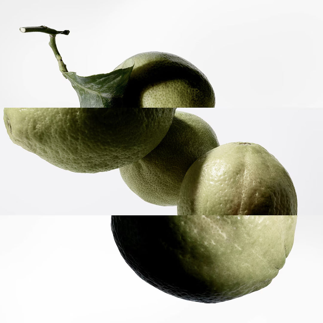 Terre d'Hermès Eau Intense Vétiver Eau De Parfum - GLAM MODA