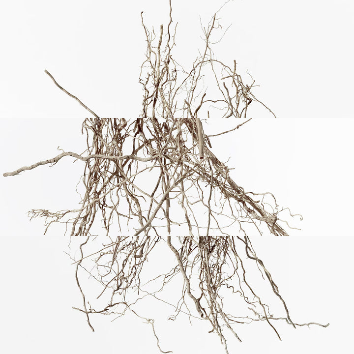 Terre d'Hermès Eau Intense Vétiver Eau De Parfum - GLAM MODA