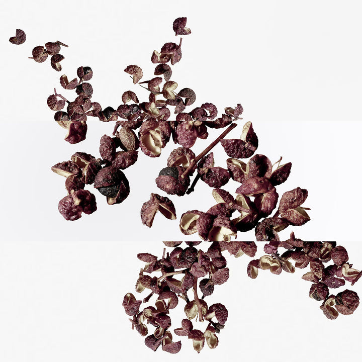 Terre d'Hermès Eau Intense Vétiver Eau De Parfum - GLAM MODA