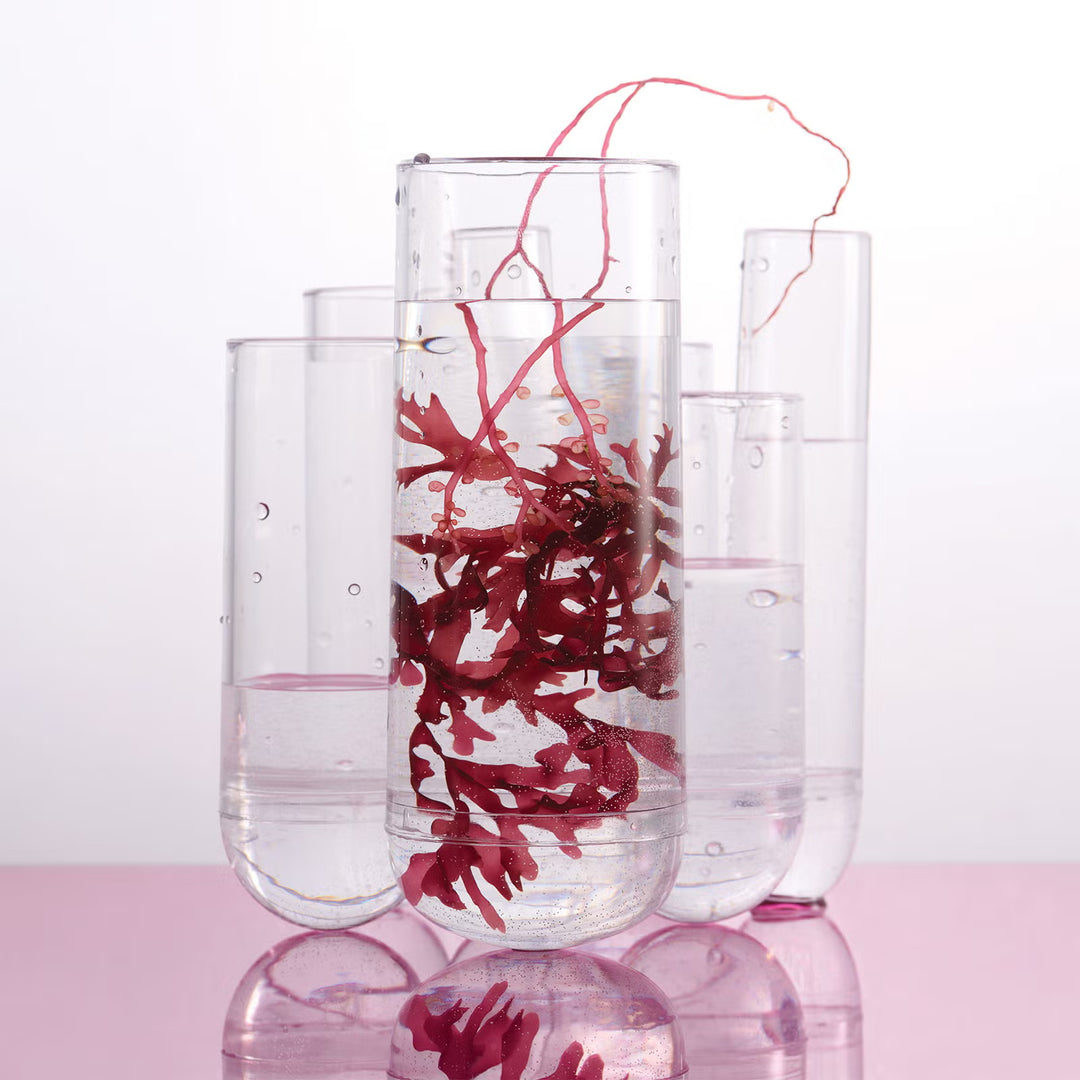 The Anti-Damage Duo - No.3 & No.9 - GLAM MODA