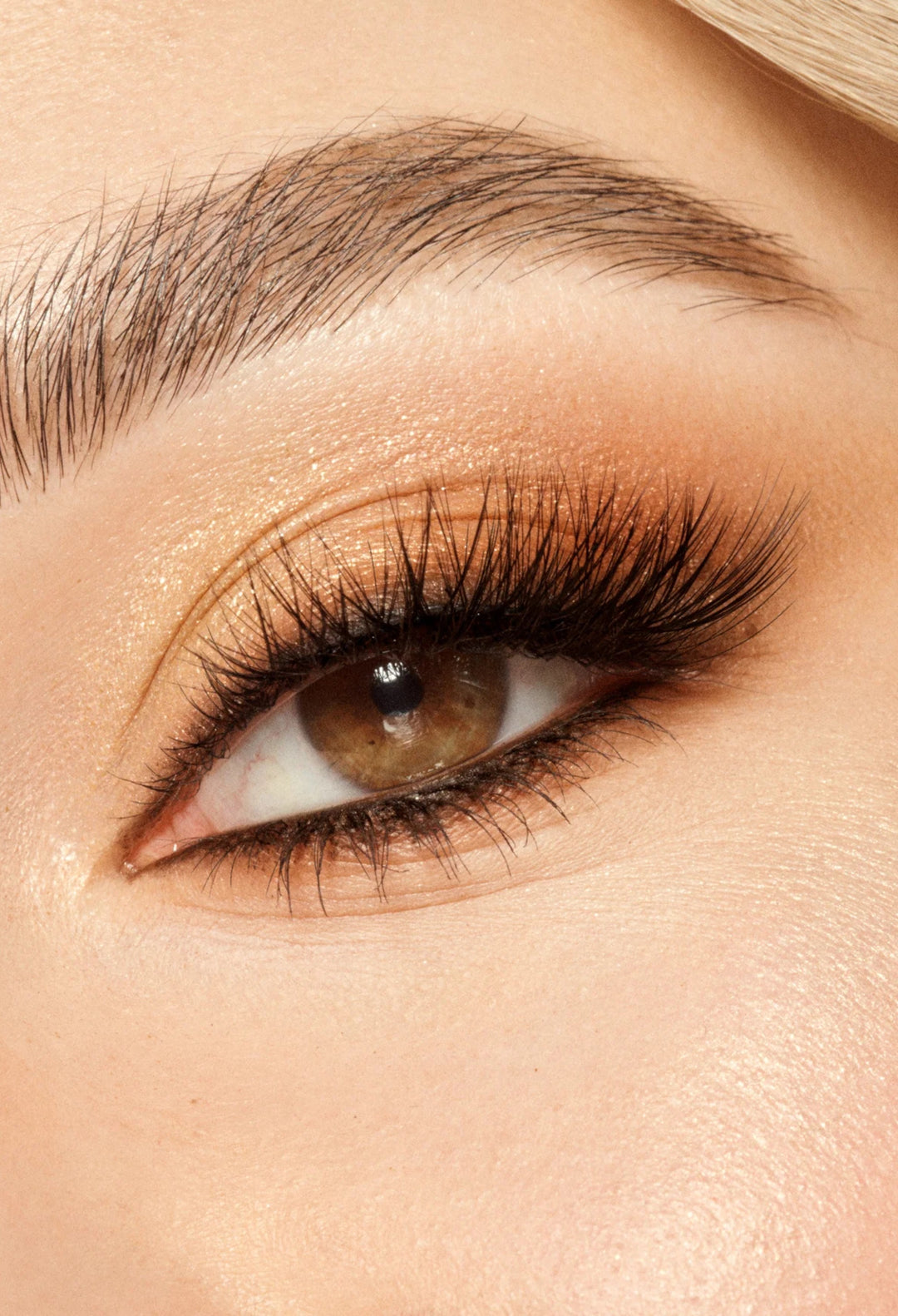 Viewve Eyeshadow Palette - Eyeshadow Palette - GLAM MODA