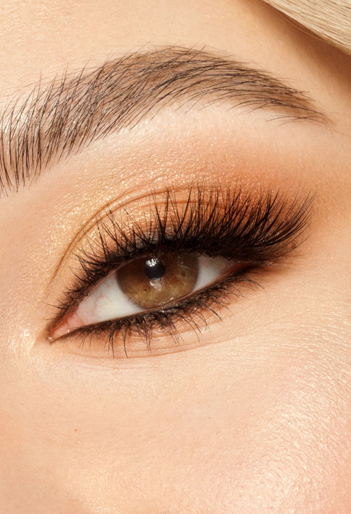 Viewve Eyeshadow Palette - Eyeshadow Palette - GLAM MODA