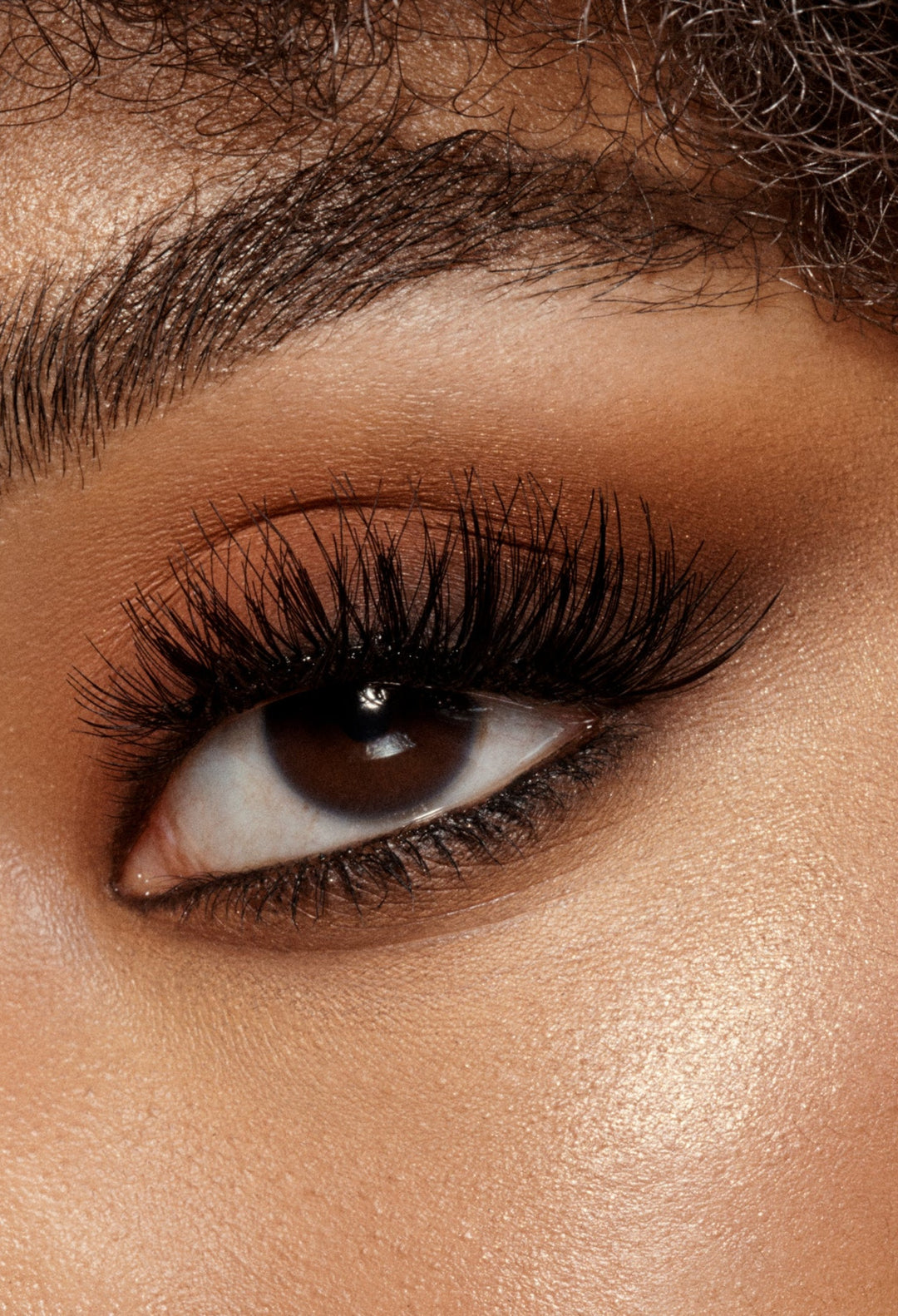 Viewve Eyeshadow Palette - Eyeshadow Palette - GLAM MODA