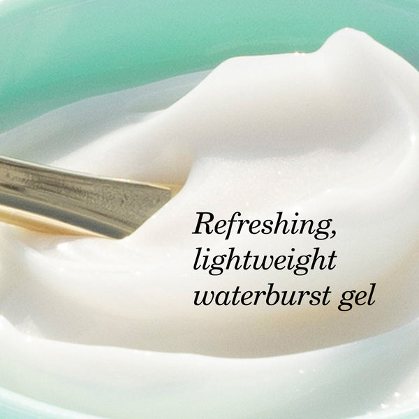 The Water Cream Lightweight Pore - Refining Moisturizer