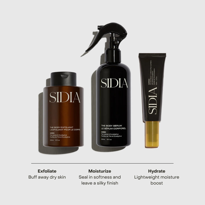 The Wired Trio - GLAM MODA